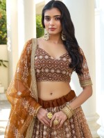 Brown Butterfly Net Lehenga Choli